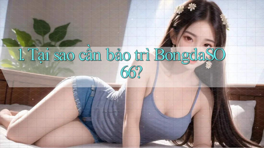 1. Tại sao cần bảo trì BongdaSO66?