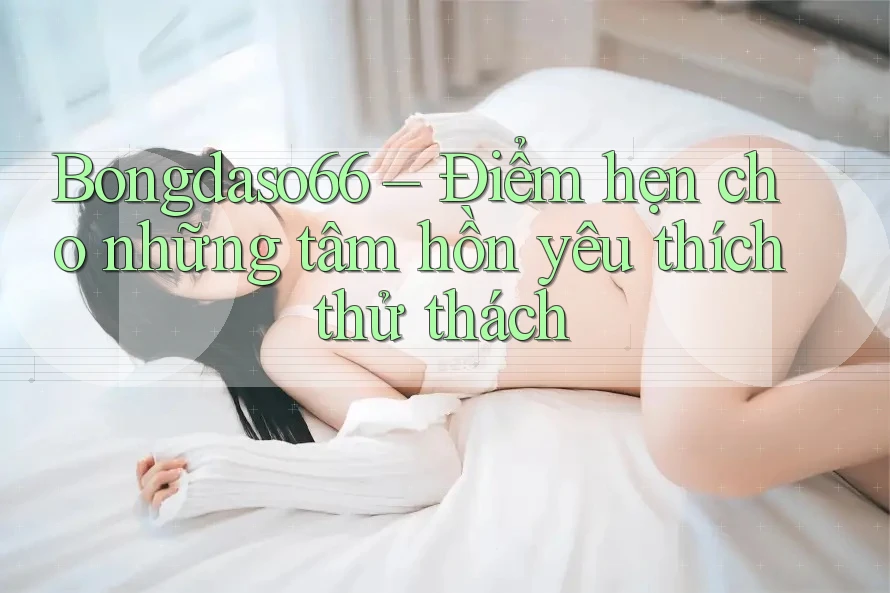 Bongdaso66 – Điểm hẹn cho những tâm hồn yêu thích thử thách