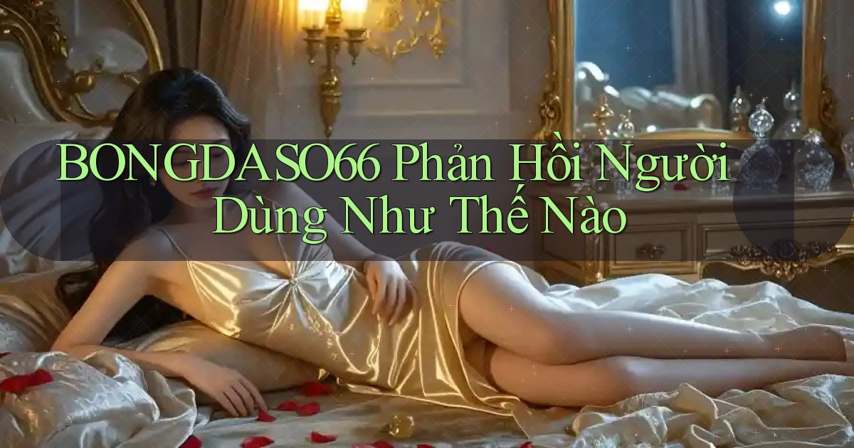 bongdaso66 phản hồi người dùng như thế nào