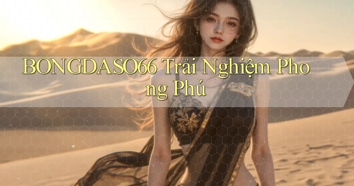 bongdaso66  trải nghiệm phong phú