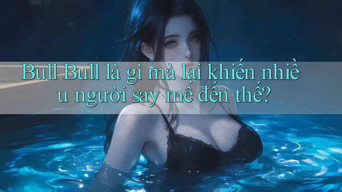 Bull Bull là gì mà lại khiến nhiều người say mê đến thế?
