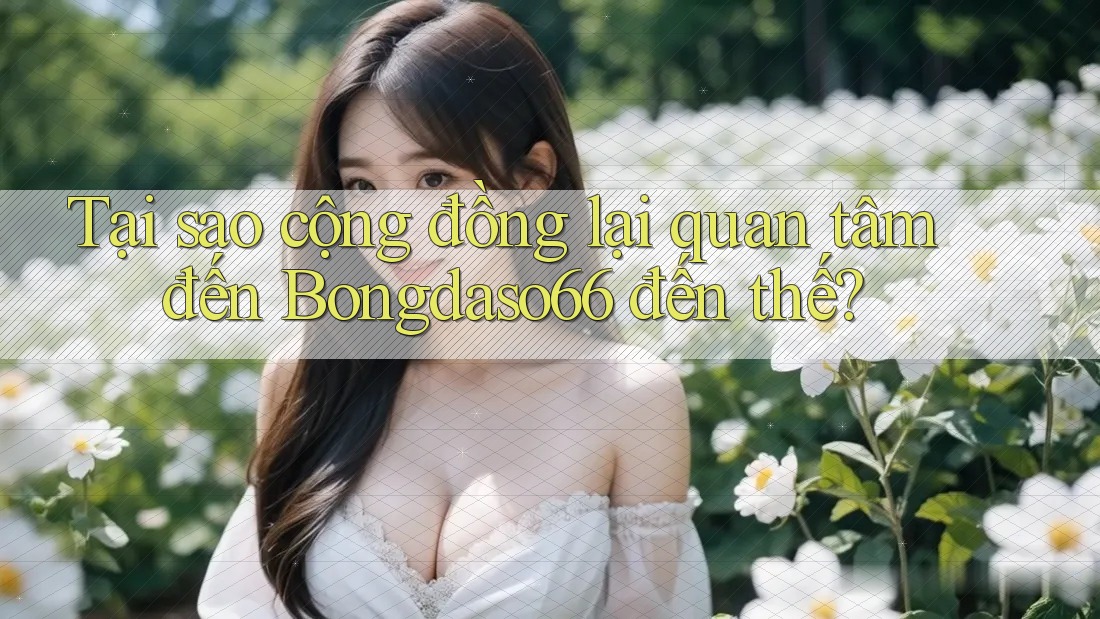 Tại sao cộng đồng lại quan tâm đến Bongdaso66 đến thế?