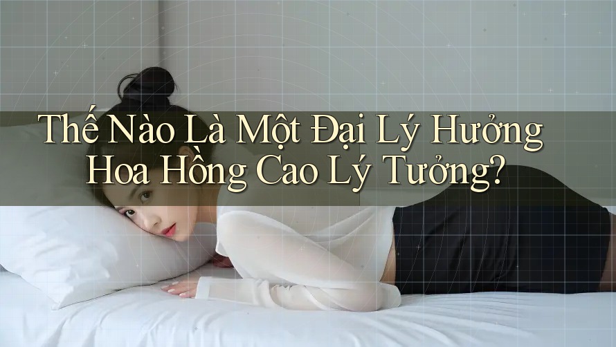 Thế Nào Là Một Đại Lý Hưởng Hoa Hồng Cao Lý Tưởng?