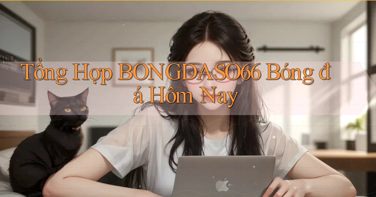 tổng hợp bongdaso66 bóng đá hôm nay